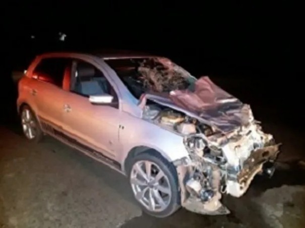 Carro fica destrudo ao se envolver em atropelamento de bovinos na Rodovia Engenheiro Byron de Azevedo Nogueira, em Dracena