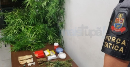 ForÃ§a TÃ¡tica prende indivÃ­duo com pasta base de cocaÃ­na e plantaÃ§Ã£o de maconha em TupÃ£