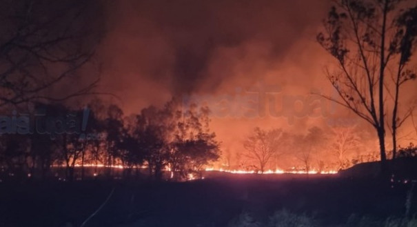 Incêndio destrói grande área de vegetação no antigo Tupã Country Clube