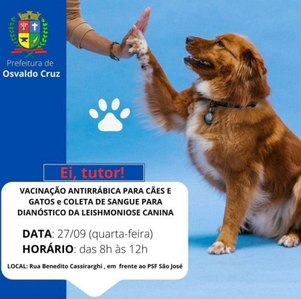 OC realiza nova etapa de coleta de sangue para diagnóstico de leishmaniose em cães e vacinação contra a raiva