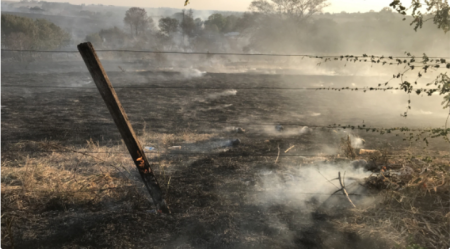 Chuvas cessam incÃªndios; Ã¡rea afetada pode chegar a 10 mil hectares em LucÃ©lia e SalmourÃ£o