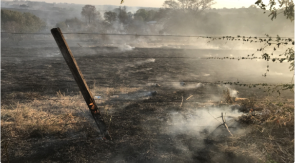 Chuvas cessam incêndios; área afetada pode chegar a 10 mil hectares em Lucélia e Salmourão