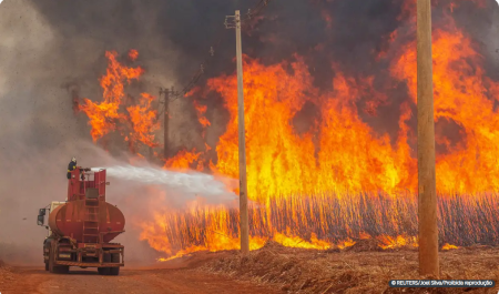 Mais de 80% dos focos de calor em SP estÃ£o em Ã¡reas de agropecuÃ¡ria