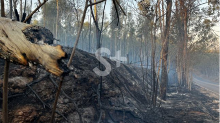 IncÃªndio atinge Ã¡rea de vegetaÃ§Ã£o em Adamantina