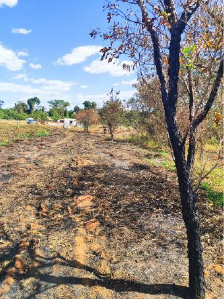 Assentados sÃ£o multados em R$ 34,7 mil por intervenÃ§Ãµes em Ã¡rea de reserva em assentamento de IepÃª