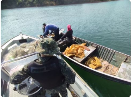 Com dez quilos de peixes emalhados, PolÃ­cia Ambiental apreende 500 metros de redes de pesca no Rio ParanÃ¡, em Rosana