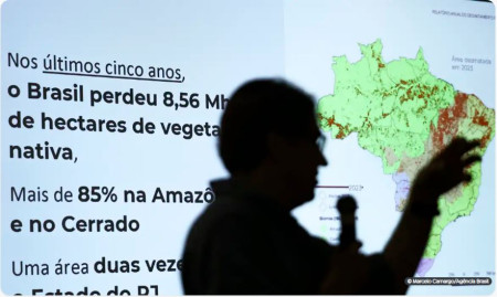 Brasil jÃ¡ perdeu 33% das Ã¡reas naturais de seu territÃ³rio