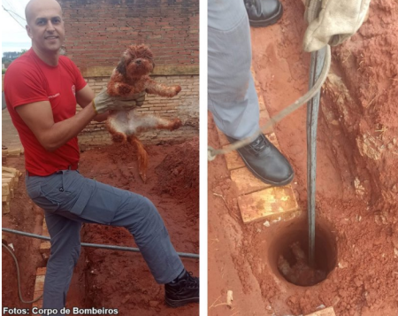 Cachorro Ã© resgatado apÃ³s cair em broca de construÃ§Ã£o em Bastos