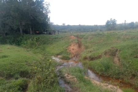 Pecuarista Ã© multado em R$ 168 mil por degradar Ã¡rea de preservaÃ§Ã£o ambiental em CabrÃ¡lia Paulista