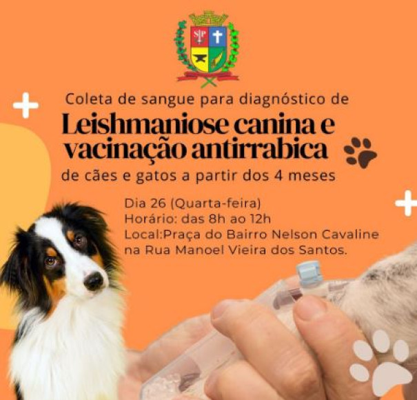 Osvaldo Cruz terá nova etapa de coleta de sangue para diagnóstico de leishmaniose em cães e vacinação antirrábica 