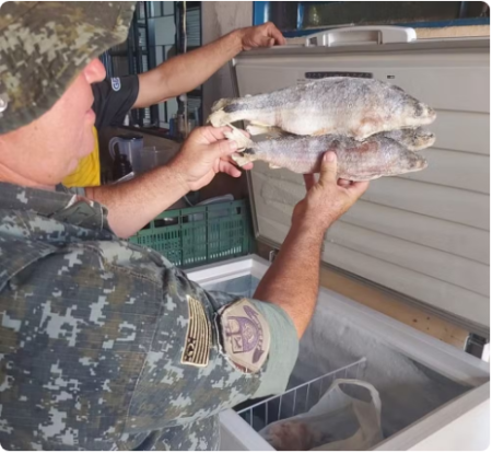 Idoso Ã© autuado em mais de R$ 1 mil por comercializar pescado nativo sem comprovante de origem, em Presidente Prudente