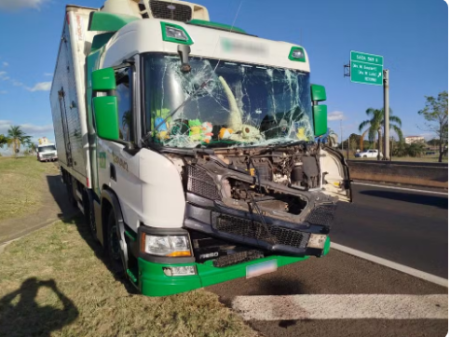 Carro e caminhÃ£o que transitavam no mesmo sentido colidem na Rodovia Raposo Tavares, em Presidente Prudente