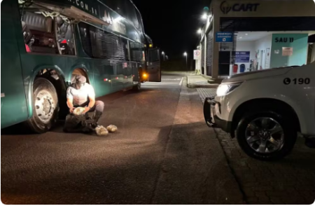 Passageira de Ã´nibus Ã© presa por transportar pacotes de skank em mala, em Santo AnastÃ¡cio