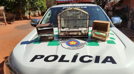 Criador solta aves mantidas irregularmente em cativeiro, mas leva multas de R$ 5,5 mil e ainda terÃ¡ de responder por crime ambiental