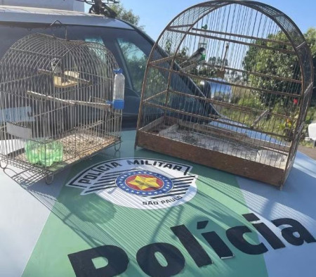 PolÃ­cia Ambiental liberta aves silvestres mantidas irregularmente em cativeiro em residÃªncias em Presidente Prudente