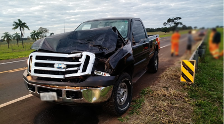 Cavalo morre e caminhonete fica danificada em acidente