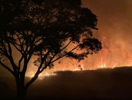 IncÃªndio atinge canavial e leva mais de seis horas para ser controlado em Santa Mercedes