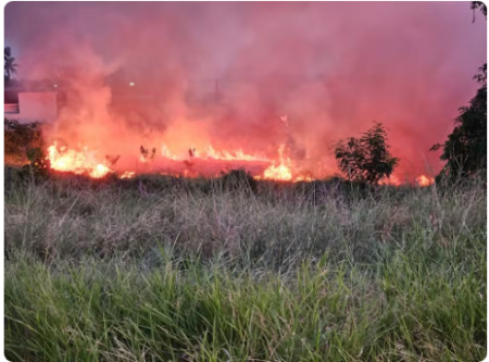 IncÃªndio de grandes proporÃ§Ãµes atinge Ã¡rea de vegetaÃ§Ã£o de 12 mil mÂ², em Dracena