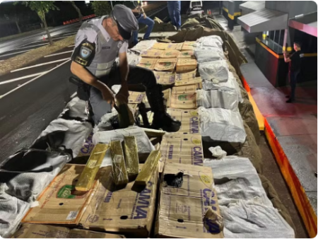 OperaÃ§Ã£o policial apreende 2,5 toneladas de maconha escondidas em carga de fÃ©cula de mandioca, em Santa Mercedes