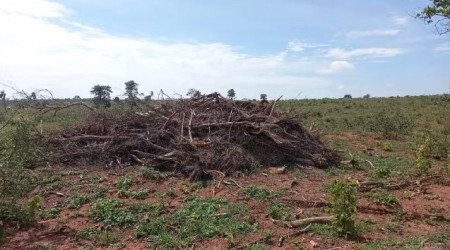 Imagens de satÃ©lite identificam devastaÃ§Ã£o de vegetaÃ§Ã£o nativa em mais de 12 hectares e fazendeiro Ã© multado em R$ 68,3 mil