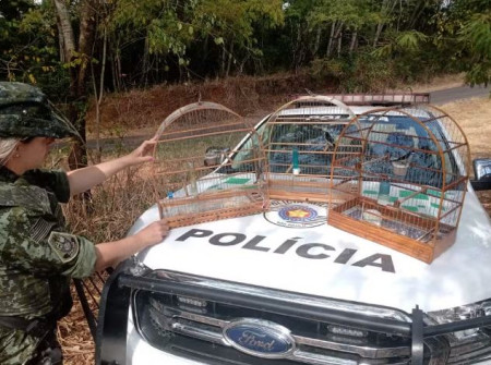 Idoso Ã© multado em R$ 1,5 mil e deverÃ¡ responder criminalmente por manter aves silvestres em cativeiro, em SalmourÃ£o