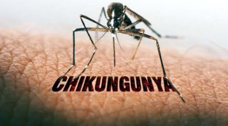 TupÃ£ confirma 2Âº caso de Chikungunya em 2024