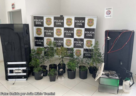 IndivÃ­duo Ã© preso apÃ³s apreensÃ£o de 14 vasos com pÃ©s de maconha em TupÃ£