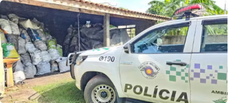 PolÃ­cia Ambiental confisca mais de duas toneladas de carvÃ£o vegetal armazenadas sem licenÃ§a em Presidente EpitÃ¡cio