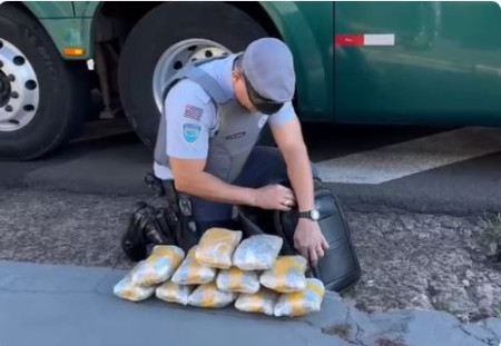 Passageiro de Ã´nibus Ã© preso em flagrante apÃ³s esconder 6,2kg de skunk dentro de mochila, em Presidente Prudente