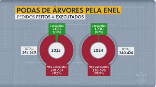 Enel executou menos de 1% das podas de árvores em contato com a fiação elétrica em 2024 na cidade de SP, diz sistema da Prefeitura