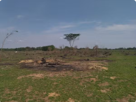 Homem Ã© multado em mais de R$ 2,4 mil por uso de fogo em Ã¡rea agropastoril, em Pres. EpitÃ¡cio