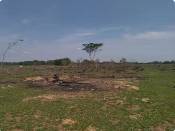 Homem é multado em mais de R$ 2,4 mil por uso de fogo em área agropastoril, em Pres. Epitácio