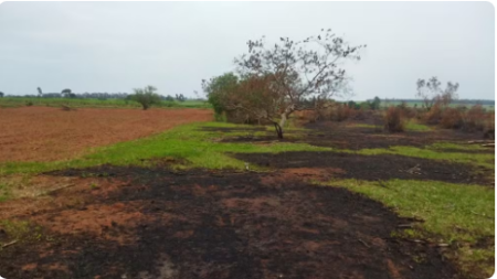 Sitiante Ã© multado em mais de R$ 5 mil por uso de fogo em Ã¡rea agropastoril, em Teodoro Sampaio