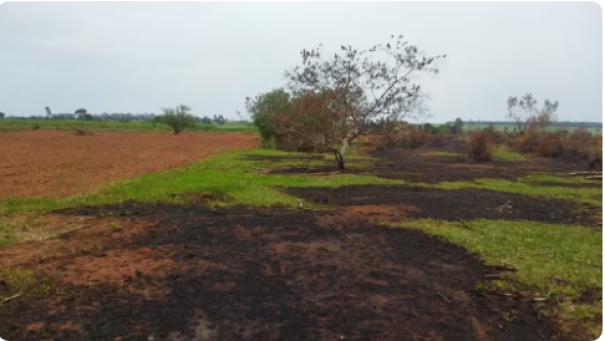 Sitiante é multado em mais de R$ 5 mil por uso de fogo em área agropastoril, em Teodoro Sampaio