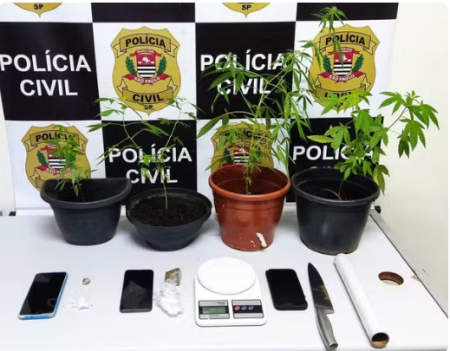 Dupla Ã© presa com porÃ§Ãµes e pÃ©s de maconha durante operaÃ§Ã£o policial, em Presidente Prudente