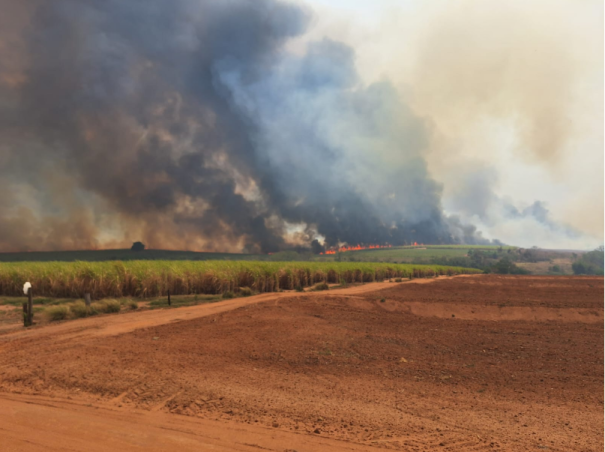 Corpo de Bombeiros de Osvaldo Cruz trabalhou por mais de 10 horas em ocorrência de fogo em mata na região do Córrego Drava