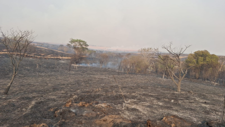 Corpo de Bombeiros de OC trabalha por mais de 12h no combate a incÃªndio em SalmourÃ£o