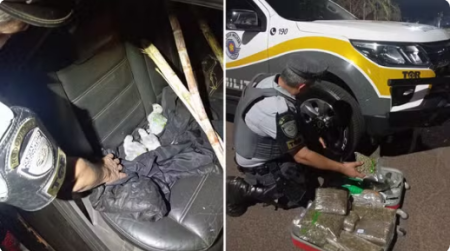 PolÃ­cia RodoviÃ¡ria apreende aves silvestres e maconha em duas abordagens no interior de SP