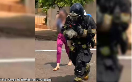 Poodle Ã© resgatado pelo Corpo de Bombeiros durante incÃªndio em ParaguaÃ§u Paulista (SP)