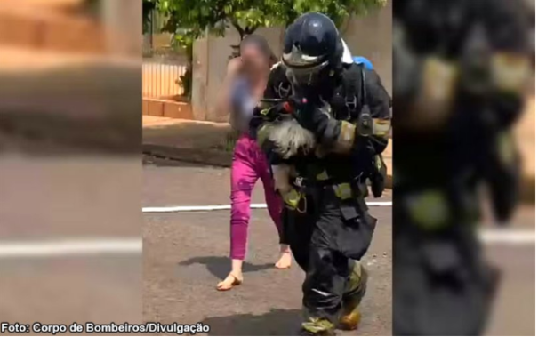 Poodle é resgatado pelo Corpo de Bombeiros durante incêndio em Paraguaçu Paulista (SP)