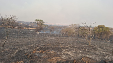 Controlado o fogo em mata na regiÃ£o do Rio AguapeÃ­ nos municÃ­pios de SalmourÃ£o, Osvaldo Cruz e LucÃ©lia