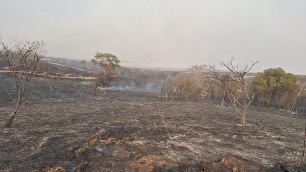 Controlado o fogo em mata na região do Rio Aguapeí nos municípios de Salmourão, Osvaldo Cruz e Lucélia