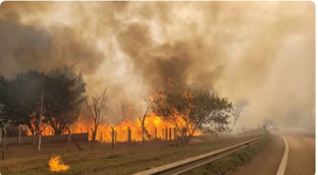 Defesa Civil alerta para risco elevado de incÃªndios e altas temperaturas para cidades do interior de SP