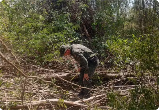 Fazenda é multada em R$ 5,7 mil por destruição de vegetação nativa, em Inúbia Paulista