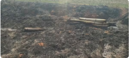 Homem Ã© multado em R$ 6,7 mil apÃ³s atear fogo em cultura de maracujÃ¡, em Sagres