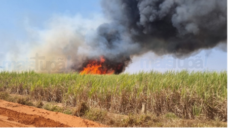 Clealco oferece R$ 10 mil por informaÃ§Ãµes sobre incÃªndios criminosos em canaviais