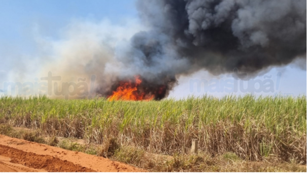 Clealco oferece R$ 10 mil por informações sobre incêndios criminosos em canaviais