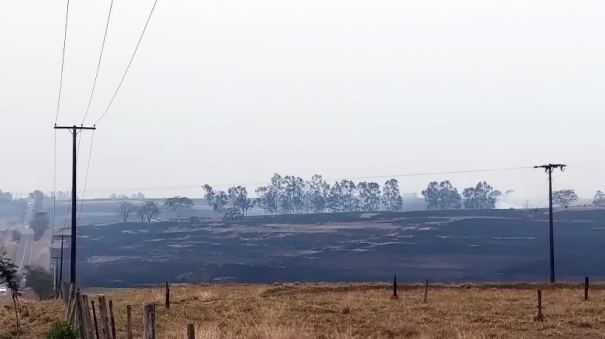 Incêndio atinge 5.130 hectares em 59 propriedades rurais em Lucélia