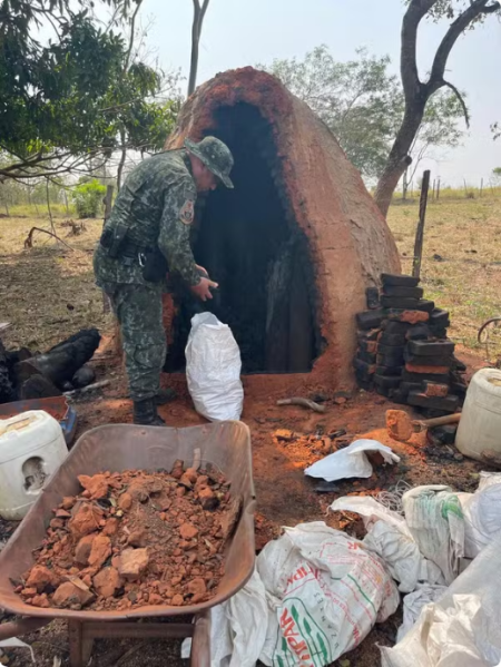 PolÃ­cia Ambiental apreende mais de 400 kg de carvÃ£o produzidos de forma irregular, em Presidente Bernardes