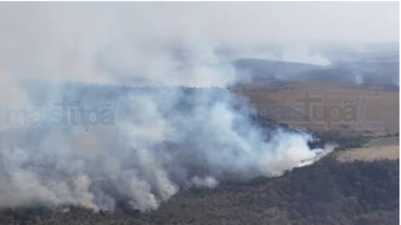 Com apoio aÃ©reo, Pompeia luta contra incÃªndio em mata desde sÃ¡bado